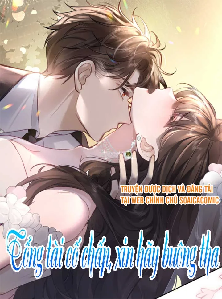 Truyện tranh Tổng Tài Cố Chấp, Xin Hãy Buông Tha